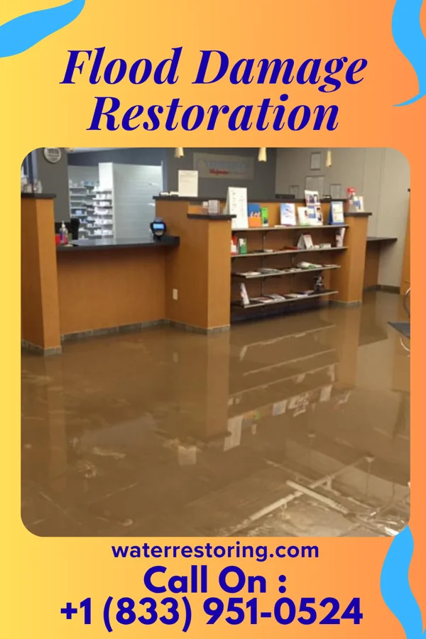 Flood Damage Restoration in Cardwell, MO