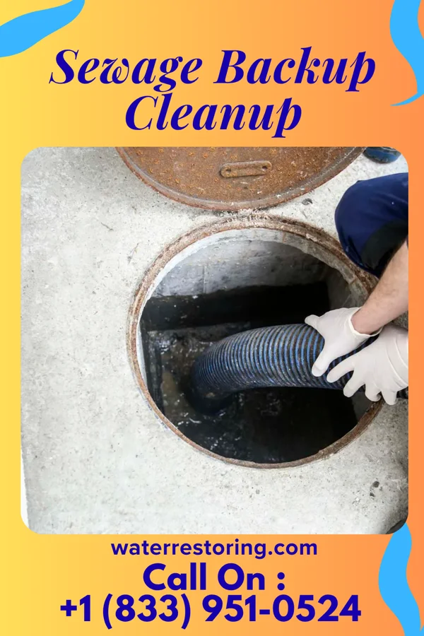 Sewage Backup Cleanup in Cardwell, MO